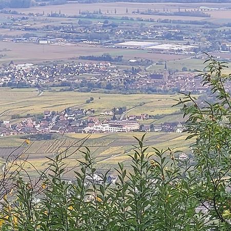 Sur La Route Du Vin Villa Rorschwihr Kültér fotó