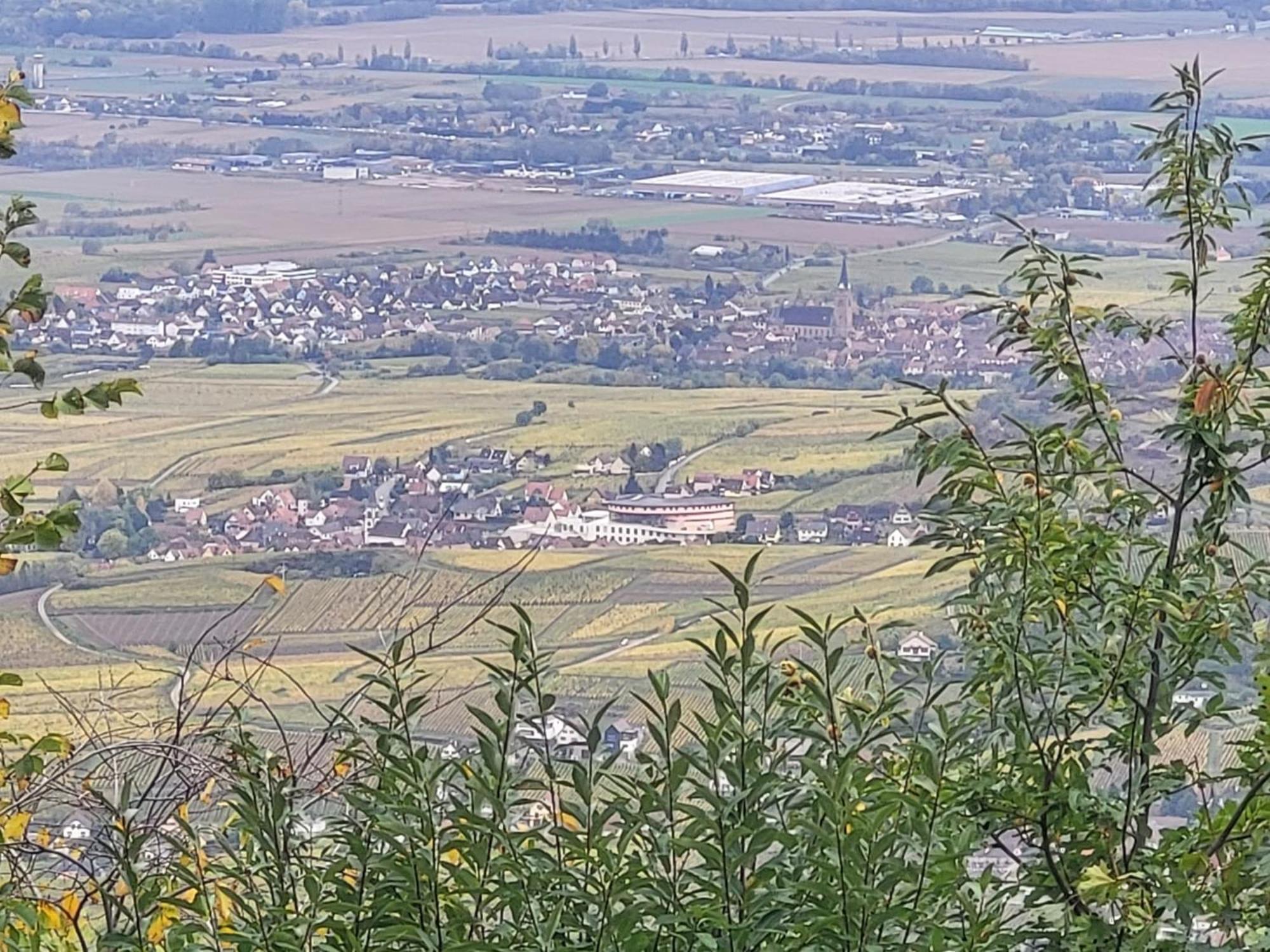 Sur La Route Du Vin Villa Rorschwihr Kültér fotó